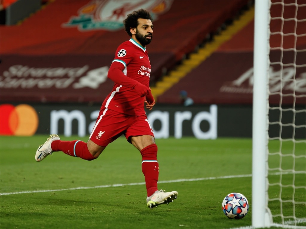 找到适合自 找到适合自